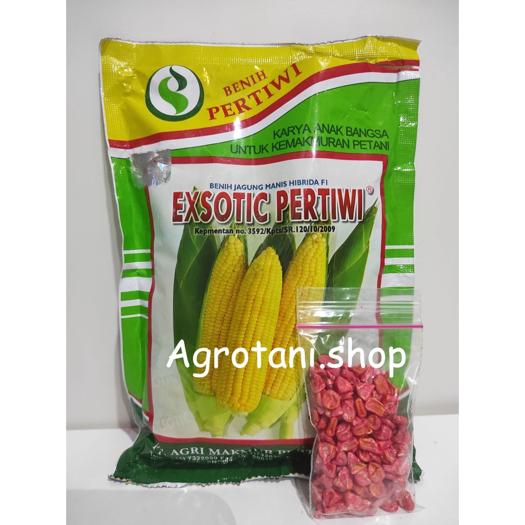 Benih Bibit Jagung Manis Exsotic Pertiwi REPACK Original Bibit Jagung Hibrida