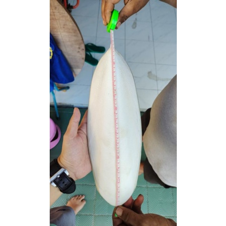 tulang sotong asinan