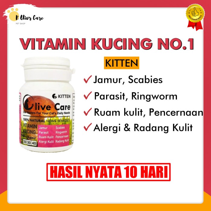 Obat Vitamin Kucing Sakit Scabies Jamur Anak Kucing Kitten Olive Care Vit Anak -
