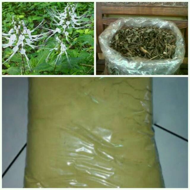 

DAUN KUMIS KUCING BUBUK 250 GRAM
