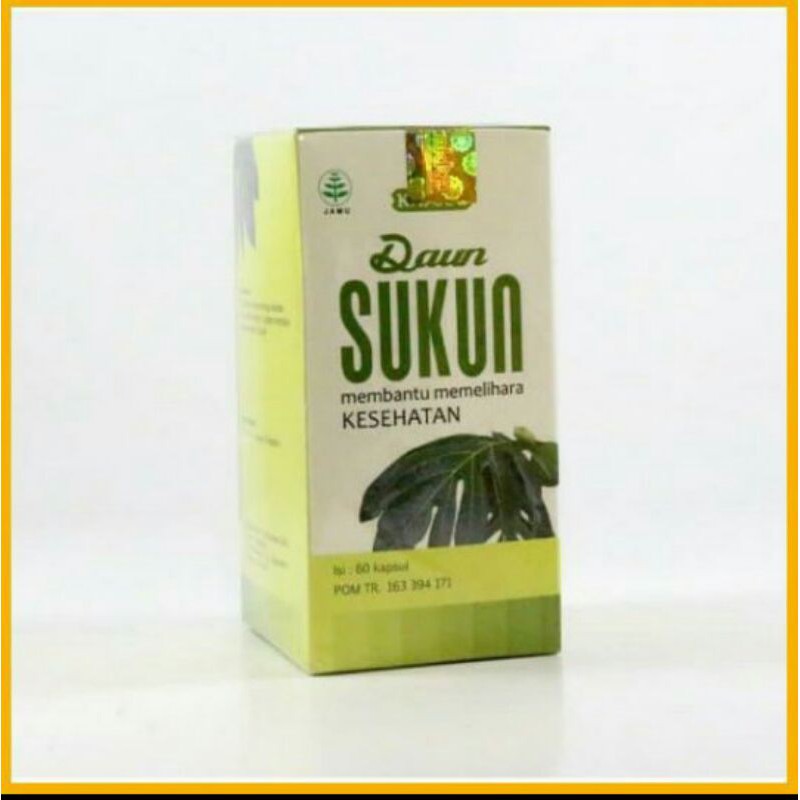 

daun sukun capsul untuk menjaga kesehatan tubuh