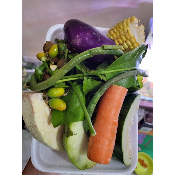 

paket sayur lodeh