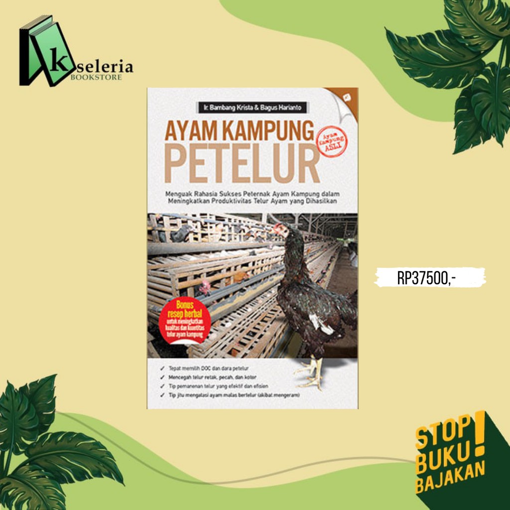 AYAM KAMPUNG PETELUR (AYAM KAMPUNG ASLI)