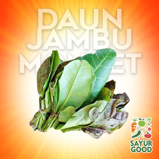 

Daun Jambu Monyet / Daun Jambu Mede / Mete / Ikat / Segar