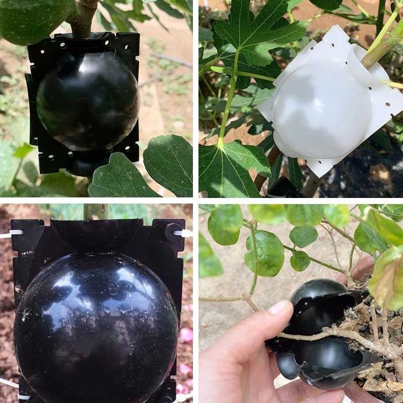 planting fertilizer ball 3pcs