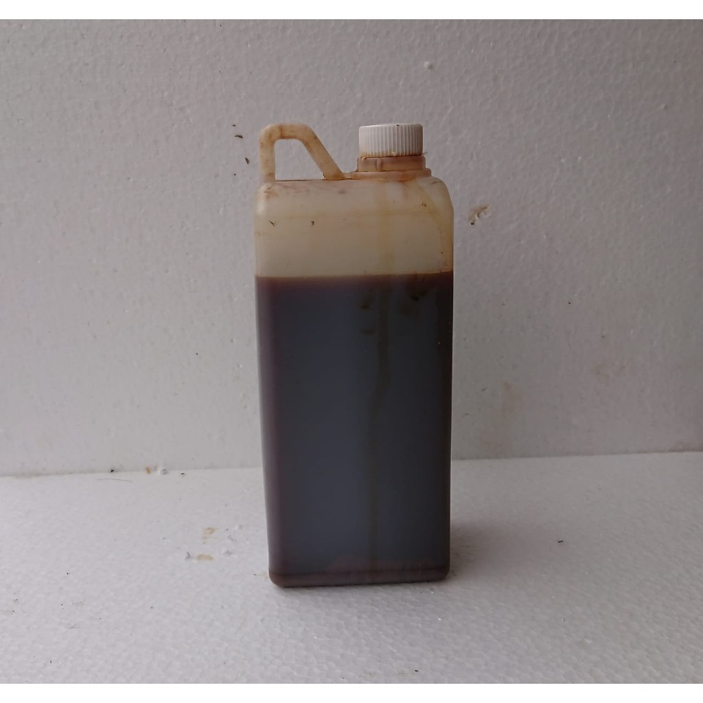 M4 Probiotik perikanan Aktif "Lactobacillus casei" untuk mempercepat pertumbuhan ikan - AGOT.ID 1000