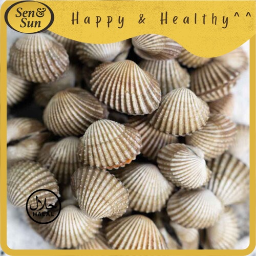 

Sen&Sun Kerang Dara 500 gr