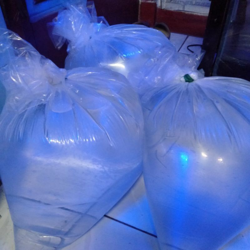 air laut (galon leminerale)