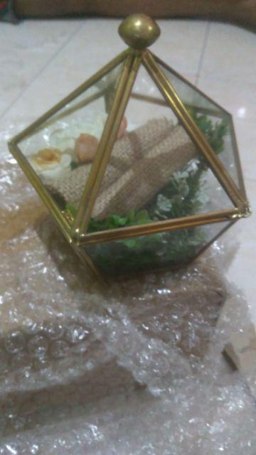 Tempat Cincin Terrarium