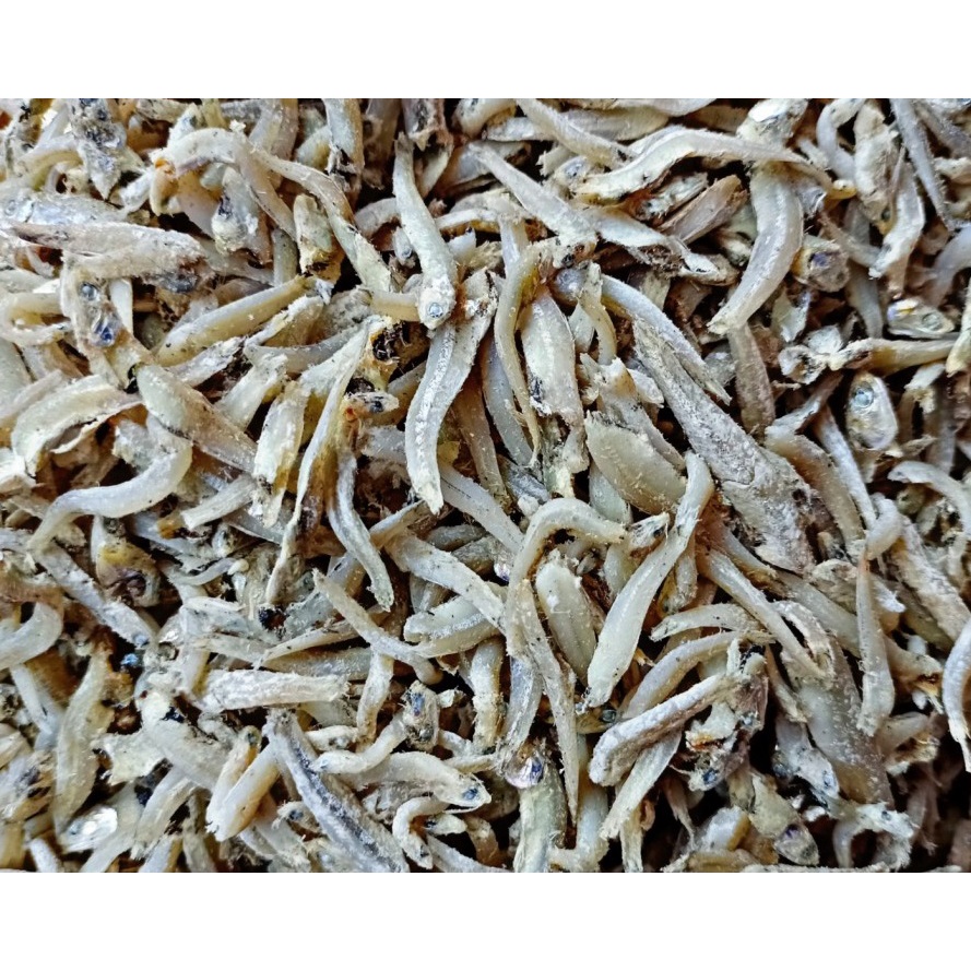 

ikan teri bontio