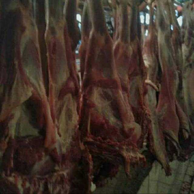 

Paha Depan Daging Kambing 1 Kg