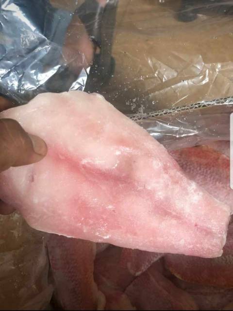 

Fillet ikan kakap merah skinleas 500 gr