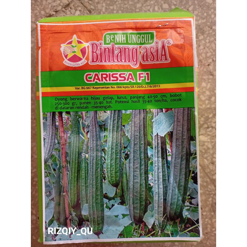 carissa f1/benih sayur/benih oyong/bintang asia/10gram