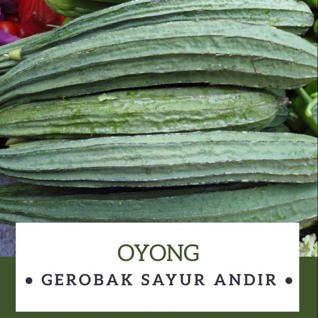 

Oyong /500gr