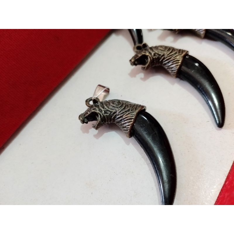 Kalung Tali Liontin Taring Harimau Import - Kalung Import Taring Harimau