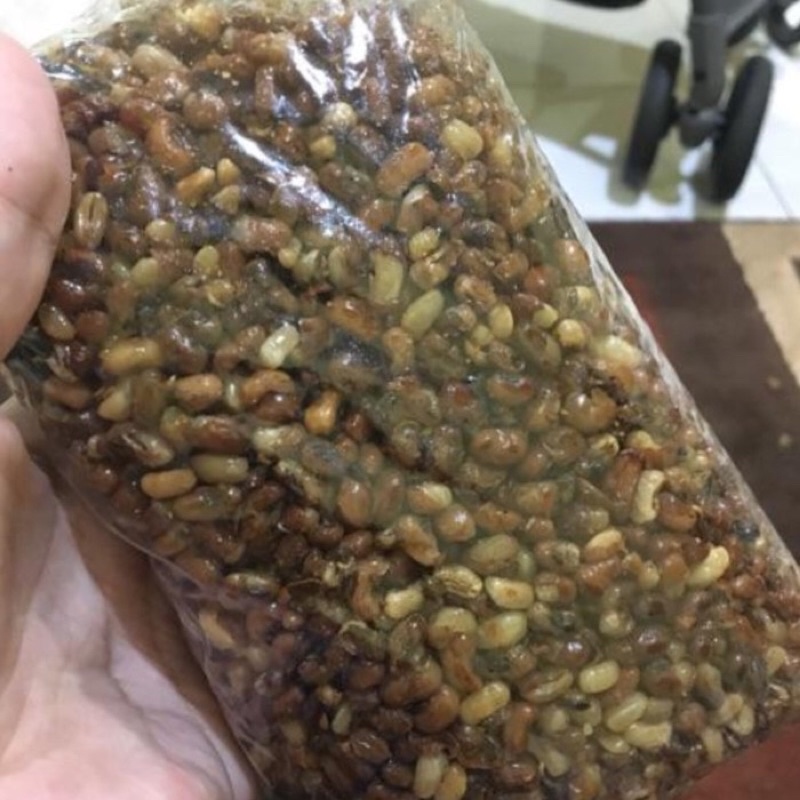 

Kacang Otok (250 gr) Kacang Panjang, Otok Madura, Kacang, Kedelai, Camilan Khas Madura, Camilan Enak