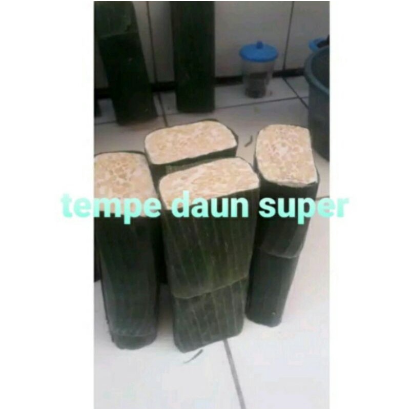 

Tempe daun super / 1biji