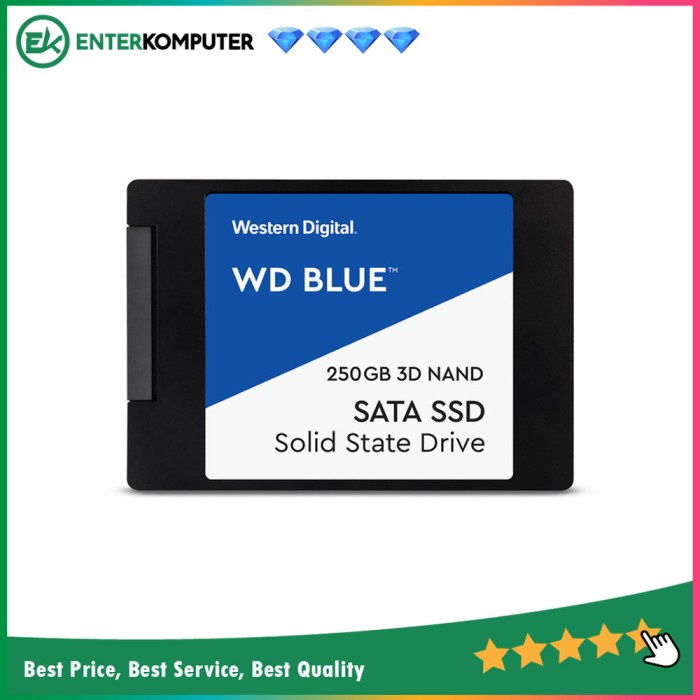 WDC Blue PC SSD 2TB