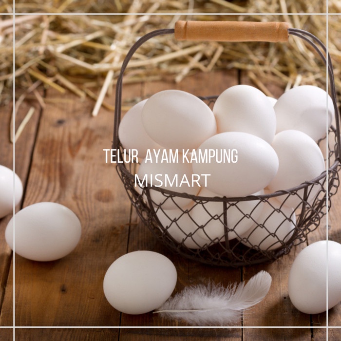 

TELUR AYAM KAMPUNG PER PCS