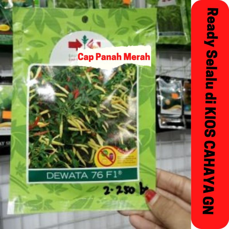 Benih Bibit Cabe Rawit Dewata 76/43 F1Cap Panah Merah