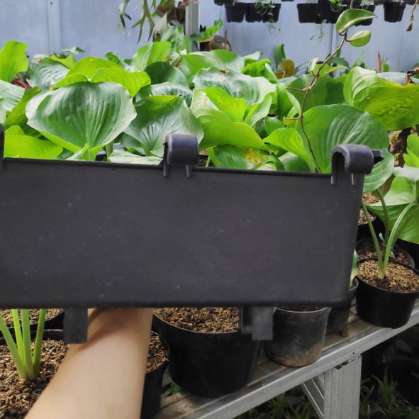 ֍ Pot Argo Hitam 04 / pot tempel / pot dinding ➶