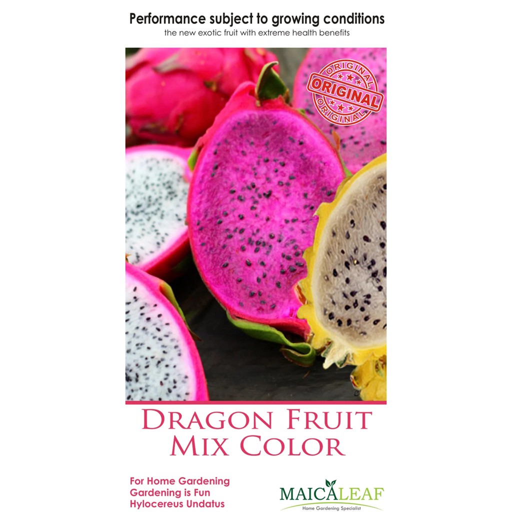 Benih Buah Naga /Bibit Buah Naga Mix Color isi 25 Benih