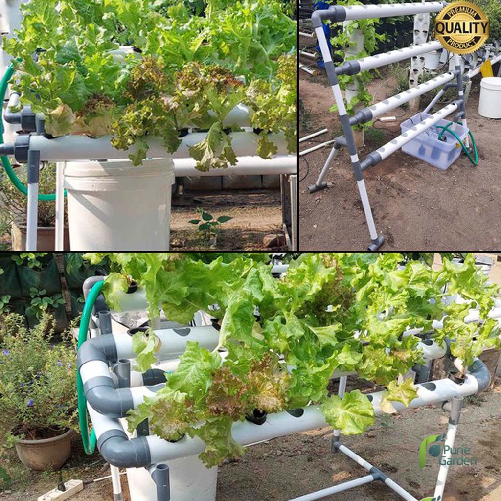 Paket Instalasi Modul Hidroponik DFT NFT Food Grade 36 Lubang Purie Garden PG KDR
