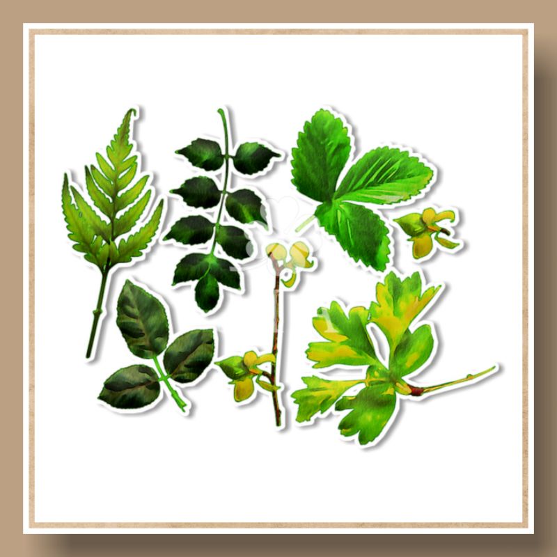 

jiastore__ Sticker Daun Aesthetic / Green Aesthetic / Sticker Tumbl / Glossy Sticker