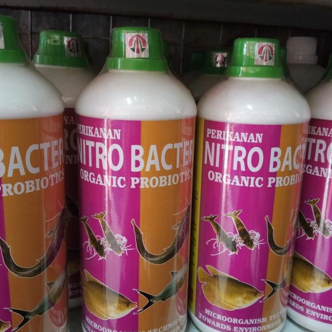 

PROMO SPECIAL nitrobacter cair tamasindo 1 liter