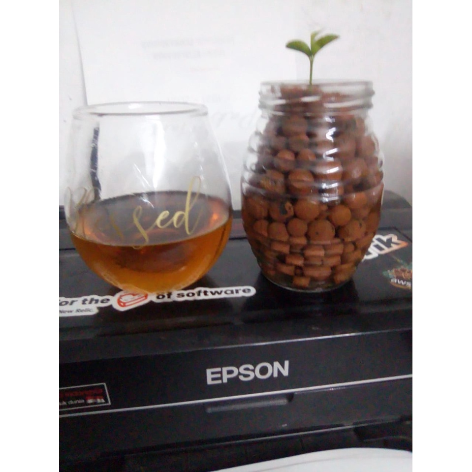 Gelas Tuscany Telur Citinova