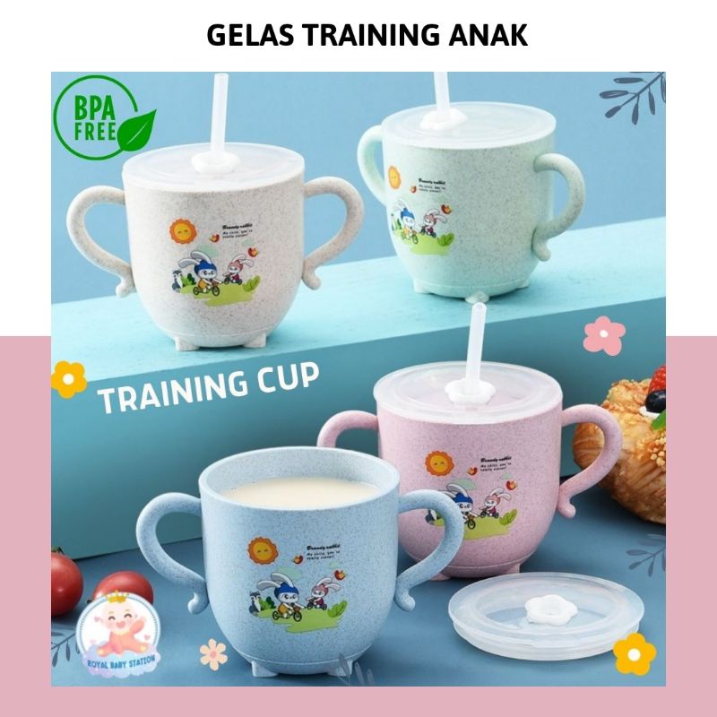 Gelas Anak Training Cup Bayi Lucu Karakter free sedotan 270ml