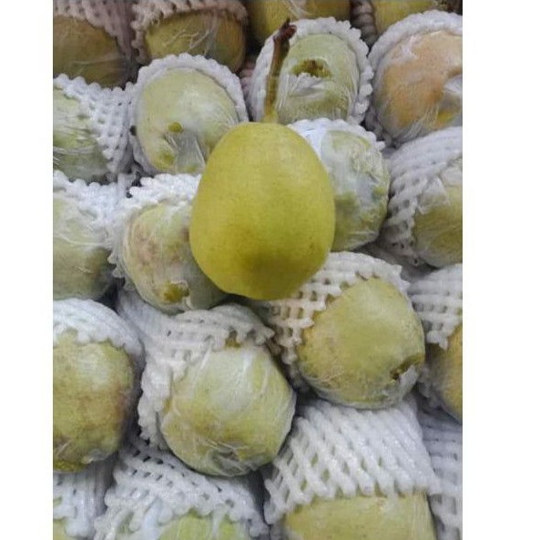 

Pear Xiang Lie Citra Segar Sehat per Box 7 kg