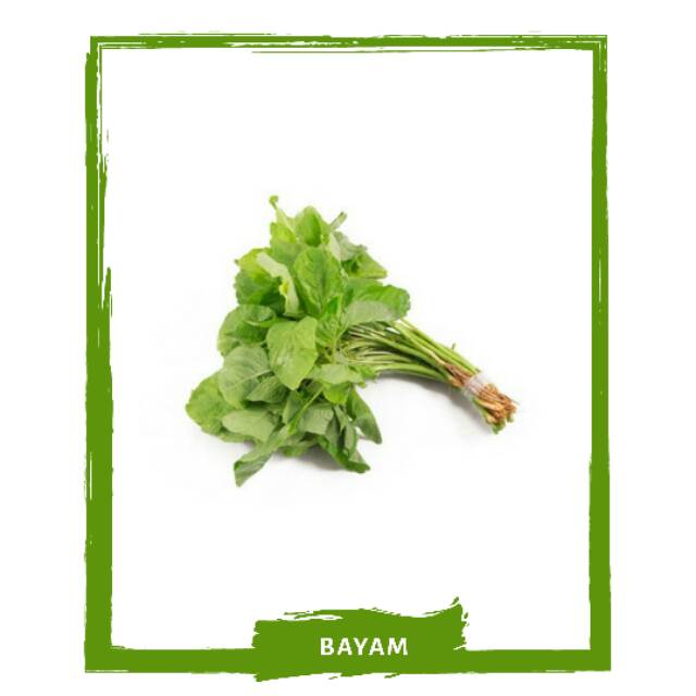 

Bayam / Sayur Sayuran Segar By Mallahrizwa