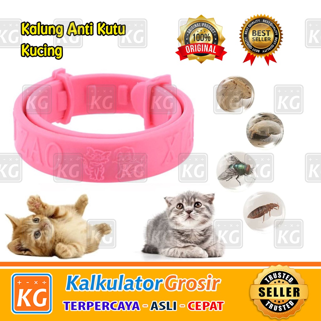 Kalung Anti Kutu Kucing Anjing Kelinci / NO FLEA / Cat Flea Import / aksesoris kucing / obat kutu