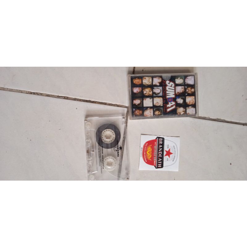 kaset pita sum-41(fatlip album)