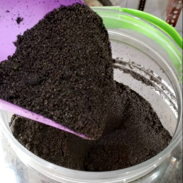 Habbatussauda bubuk jintan hitam bubuk jinten bubuk jinten hitam jinten serbuk