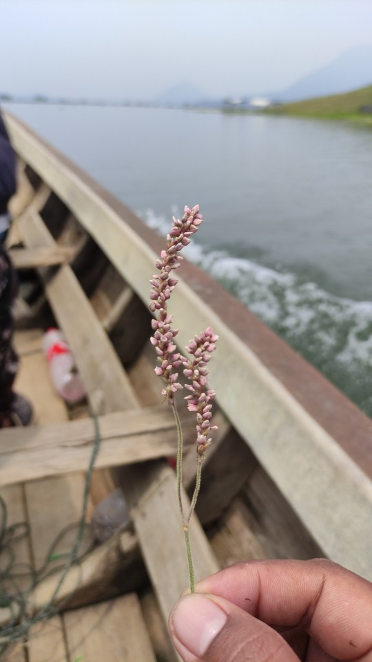 Box Arsip Standard 38.5x18.5x27 Box Kotak Penyimpanan