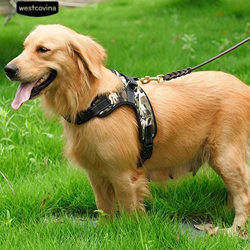 losy pet harness