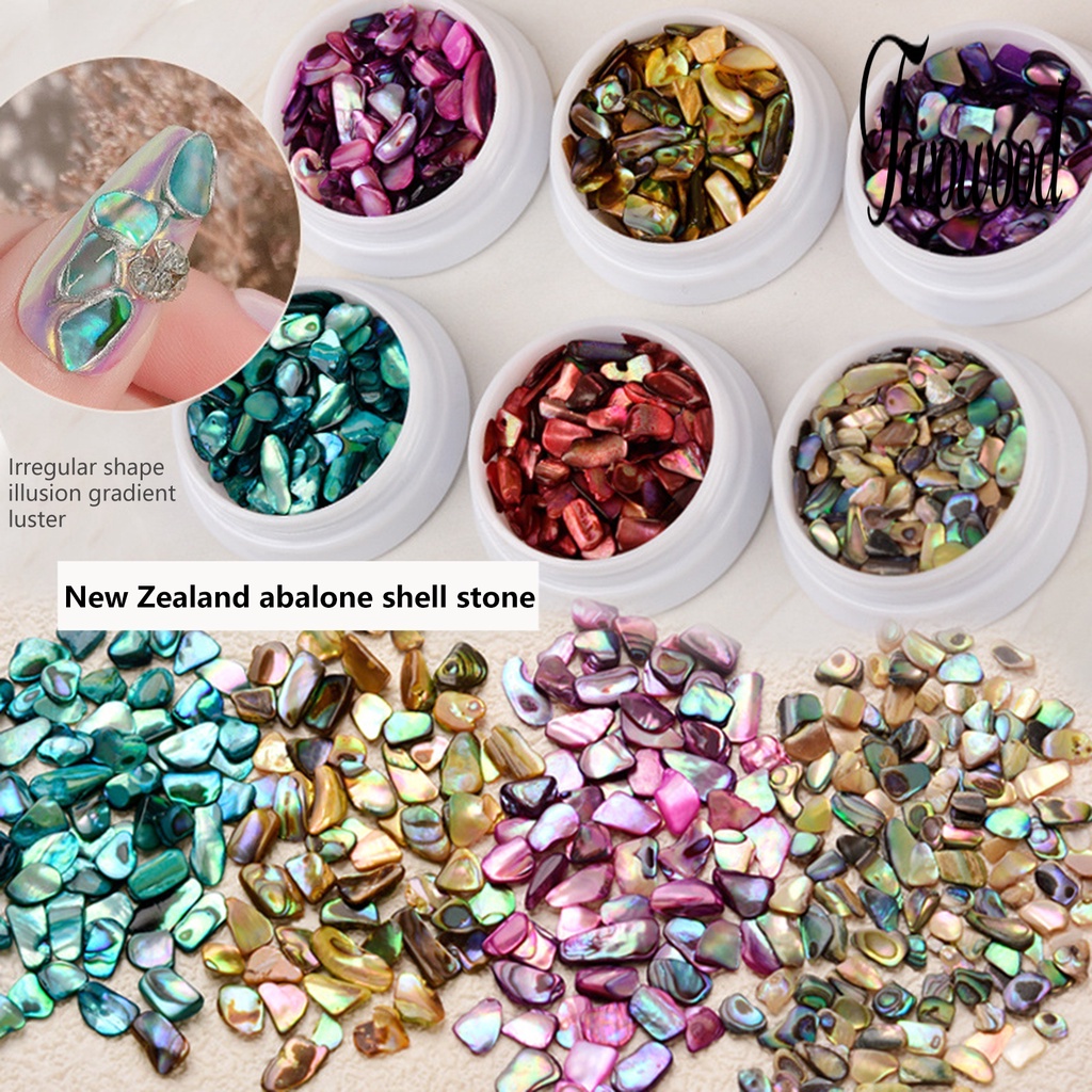 Irisan Kerang Abalone 3D Warna-Warni Untuk Dekorasi Nail Art