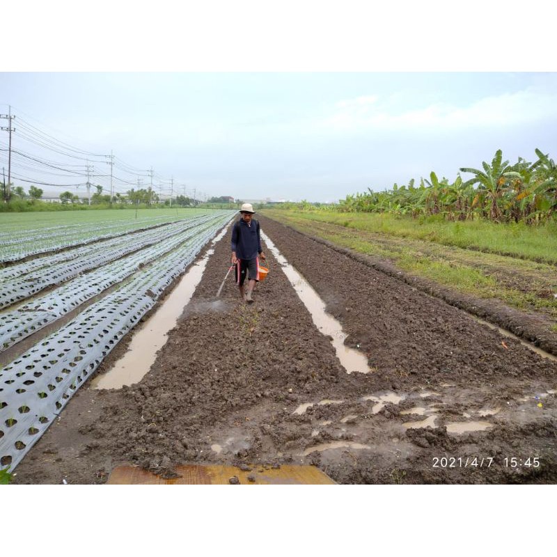 Decomposer - Pembenah Tanah BioSOLFET