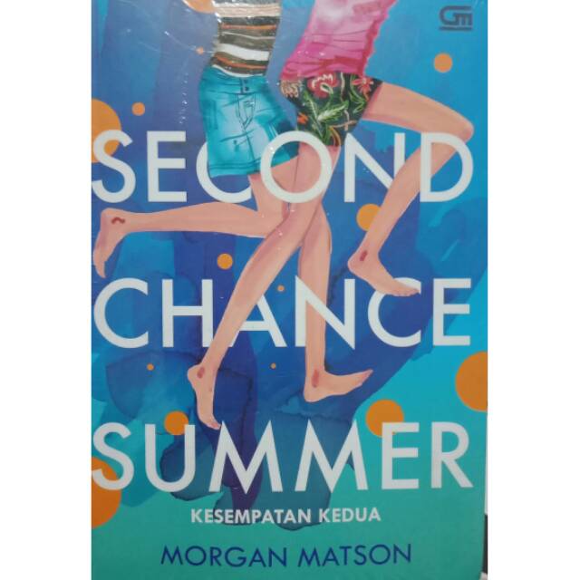 Novel Second Chance Summer