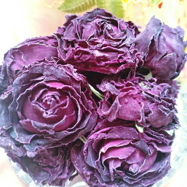 

teh bunga mawar ungu/Purple Rose Tea Flower.