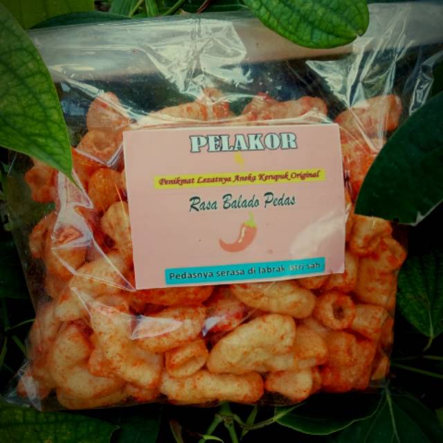 

Krupuk pelakor