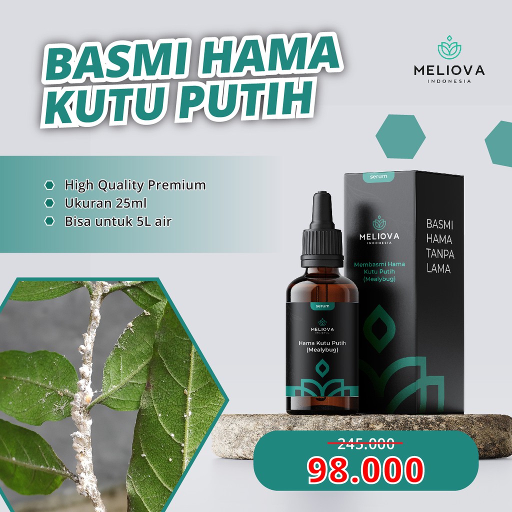 Meliova Serum pembasmi hama kutu putih/Obat Hama Anti Kutu