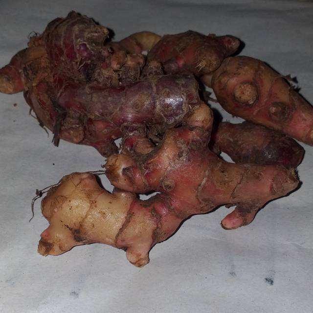 

Jahe merah 250gr