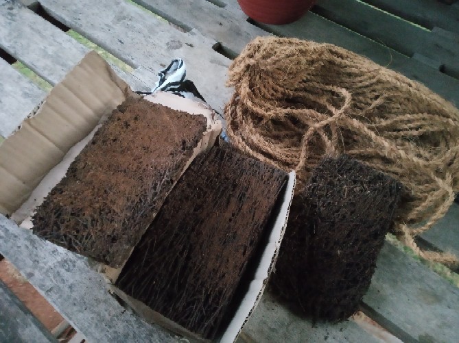 Papan Pakis Lempengan Pakis Media Tanaman