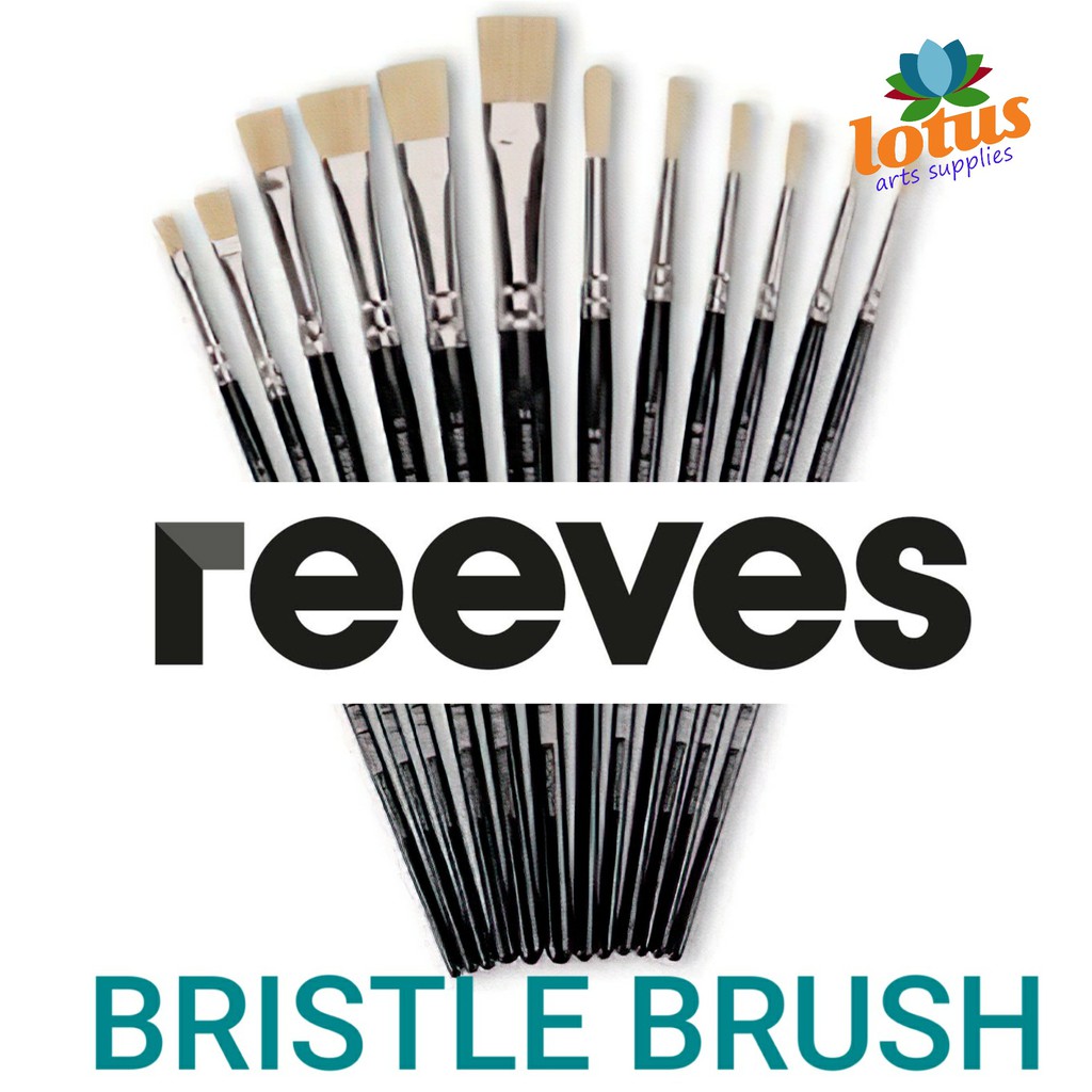 

Reeves Bristle Round Brush no 4