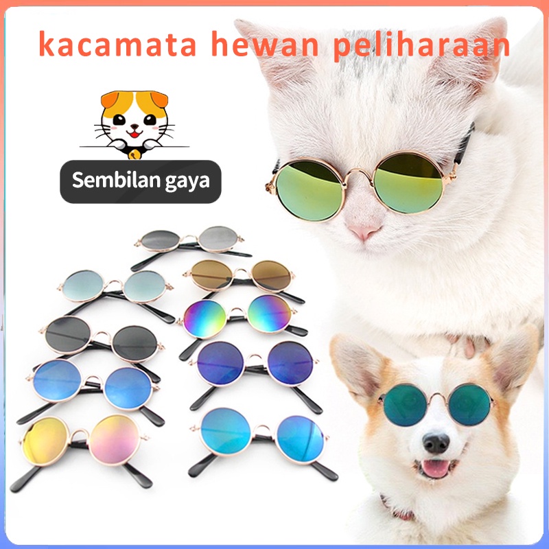 kacamata hewan peliharaan kacamata kucing kacamata anjing anti UV lucu -lucu aksesoris hewan peliharaan