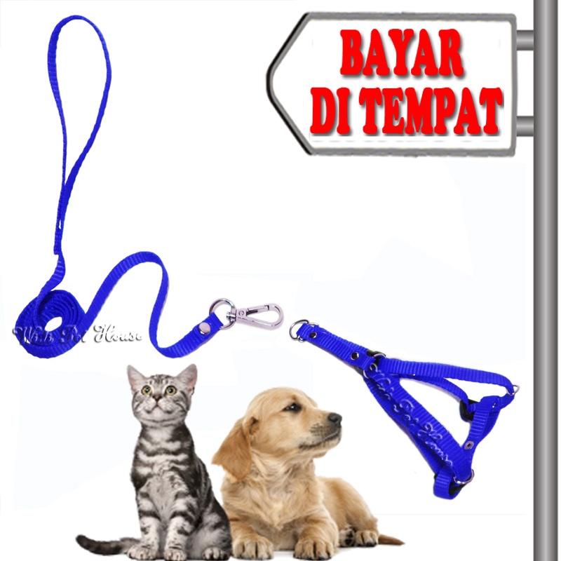 Tali Kucing Musang Oter Anjing Harness Y