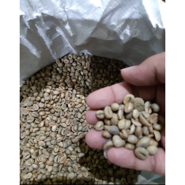 

kopi robusta